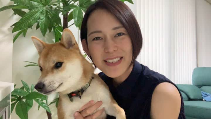 のインスタグラム：「. . お友達へのメッセージムービーを だいずと一緒に撮ろうと試みるも 全然思うようにいかず🤦‍♀️💦笑。 . ぺろぺろしたり大あくびしたり😂😂 . 何テイクも撮っているうちに 諦めてくれてなんとか おとなしくおさまってくれました笑。 . . #だいず #だいず🐕💓 #豆柴 #豆柴部  #柴犬 #しばいぬ  #犬のいる暮らし#🐶 #🐕#いぬすたぐらむ #ワンスタグラム #しばすたぐらむ #mameshiba#shibainu#shibastagram #柴犬好きさんと繋がりたい #柴犬のいる暮らし #柴犬ライフ」