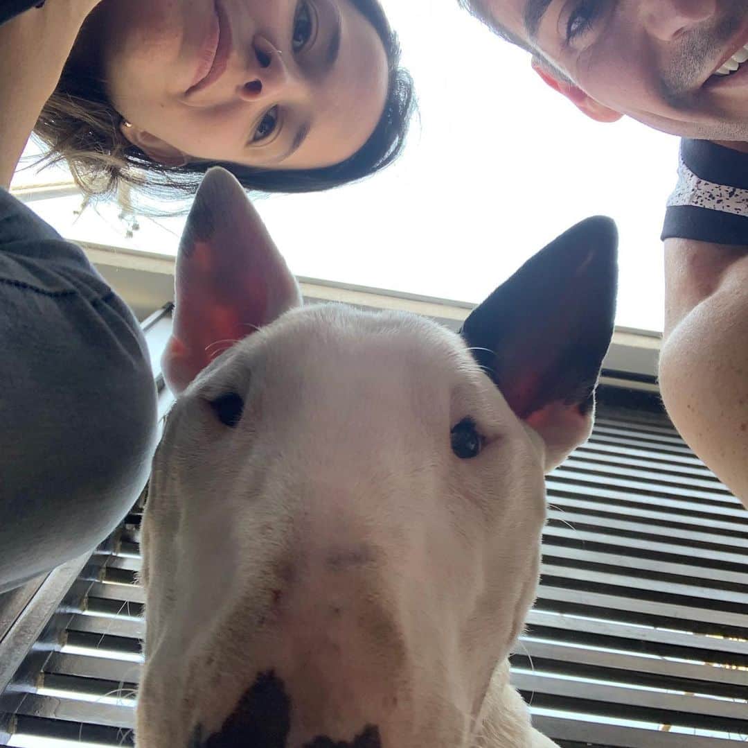 のインスタグラム：「#dogselfie」