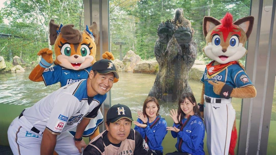 北海道日本ハムファイターズ フレップのインスタグラム