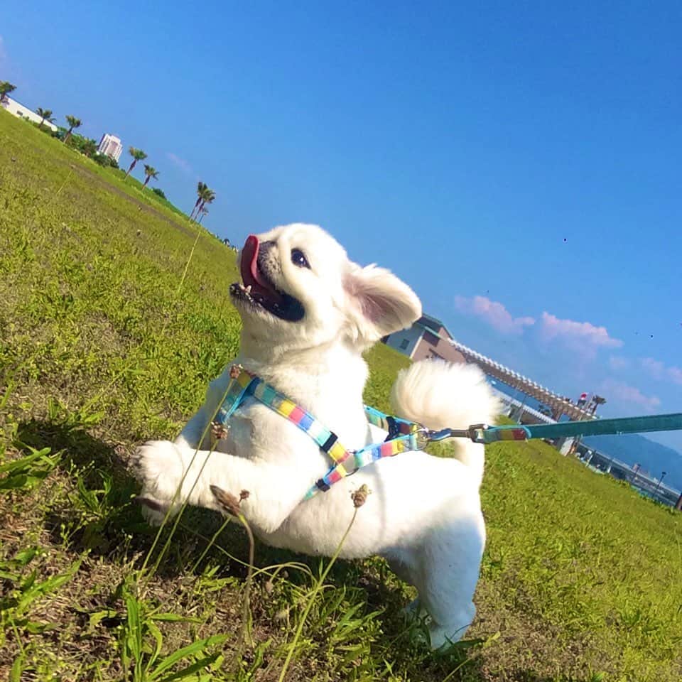 こなつのインスタグラム：「テンションMAX⤴︎⤴︎🤩🤩🌴🌈」