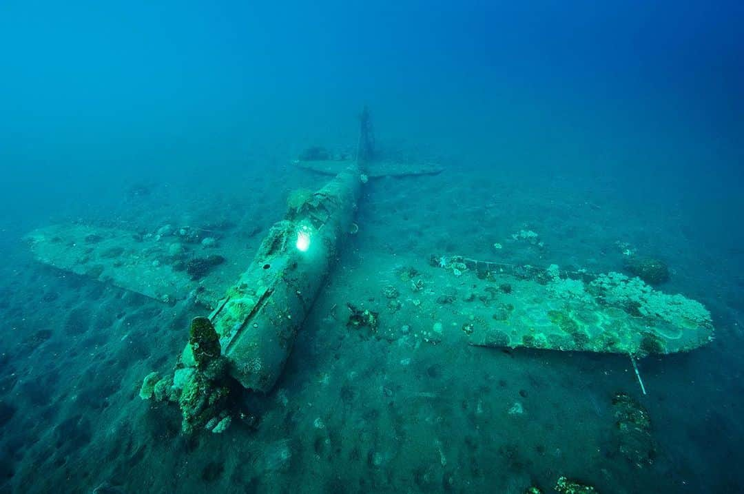 National Geographic Creativeさんのインスタグラム写真 - (National Geographic CreativeInstagram)「Photo by @daviddoubilet | A World War II Japanese Zero airplane sunken near the Willaumez Peninsula on New Britain Island, Papua New Guinea.」9月1日 23時07分 - natgeointhefield