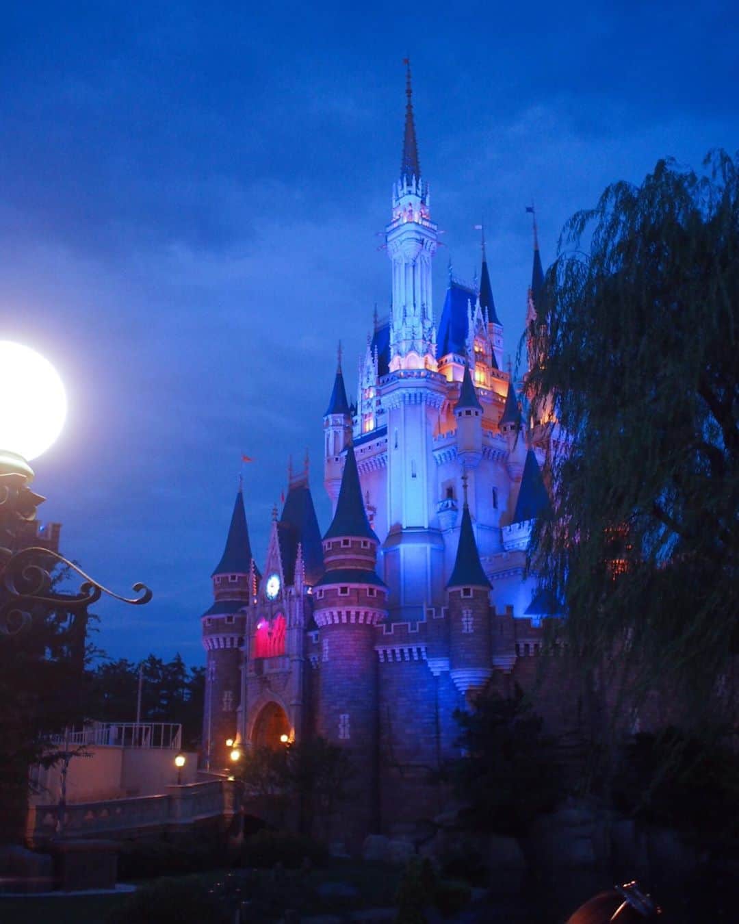 藤本恵理子さんのインスタグラム写真 - (藤本恵理子Instagram)「Amazing Cinderella Castle at night 🏰 The sight took me back when I was 6 years old. 夕方に着いてパレード見て乗り物一つ乗って1日目は退散。大賑わいでした🐭帰り際にシンデレラ城のあまりの美しさに、思わず足が止まる。 初めて見てた6才のあの日に一瞬タイムスリップ。 * *  #cinderella #cinderellacastle #disney #disneyland #tokyodisneyland #photooftheday #amazing #night #beautiful  #東京ディズニーランド #ディズニーランド #東京ディズニーランド #シンデレラ城 #夜景 #디즈니랜드 #여름휴가 #휴일」9月1日 23時12分 - eriko_fujimoto_0802
