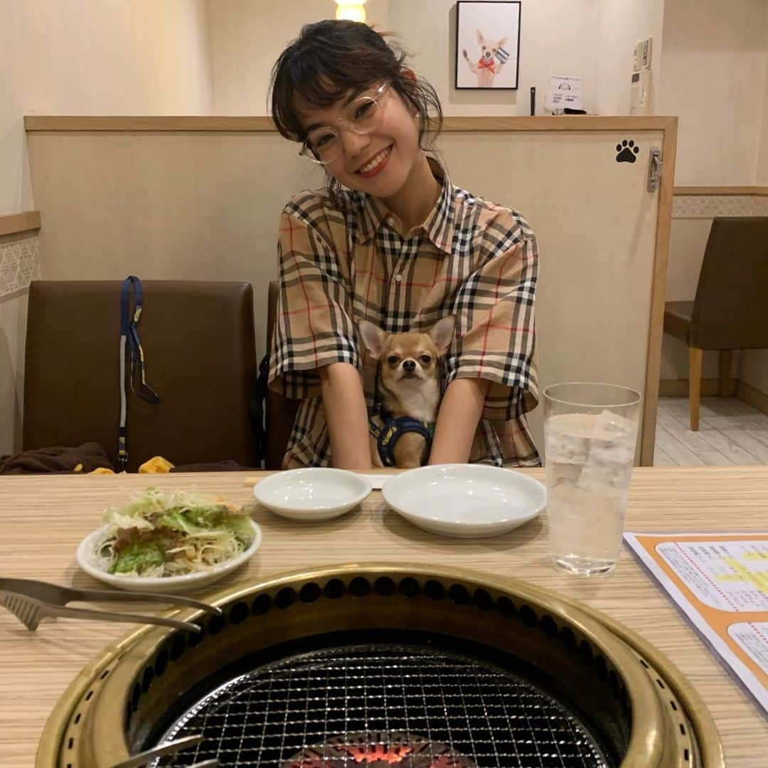 長澤メイさんのインスタグラム写真 - (長澤メイInstagram)「犬と一緒に入れる焼肉屋さん🥺💘 uniはドックランの後の眠たさmax😇 #お台場 #焼肉 #犬がいる生活」9月1日 23時22分 - xxmeixx1208