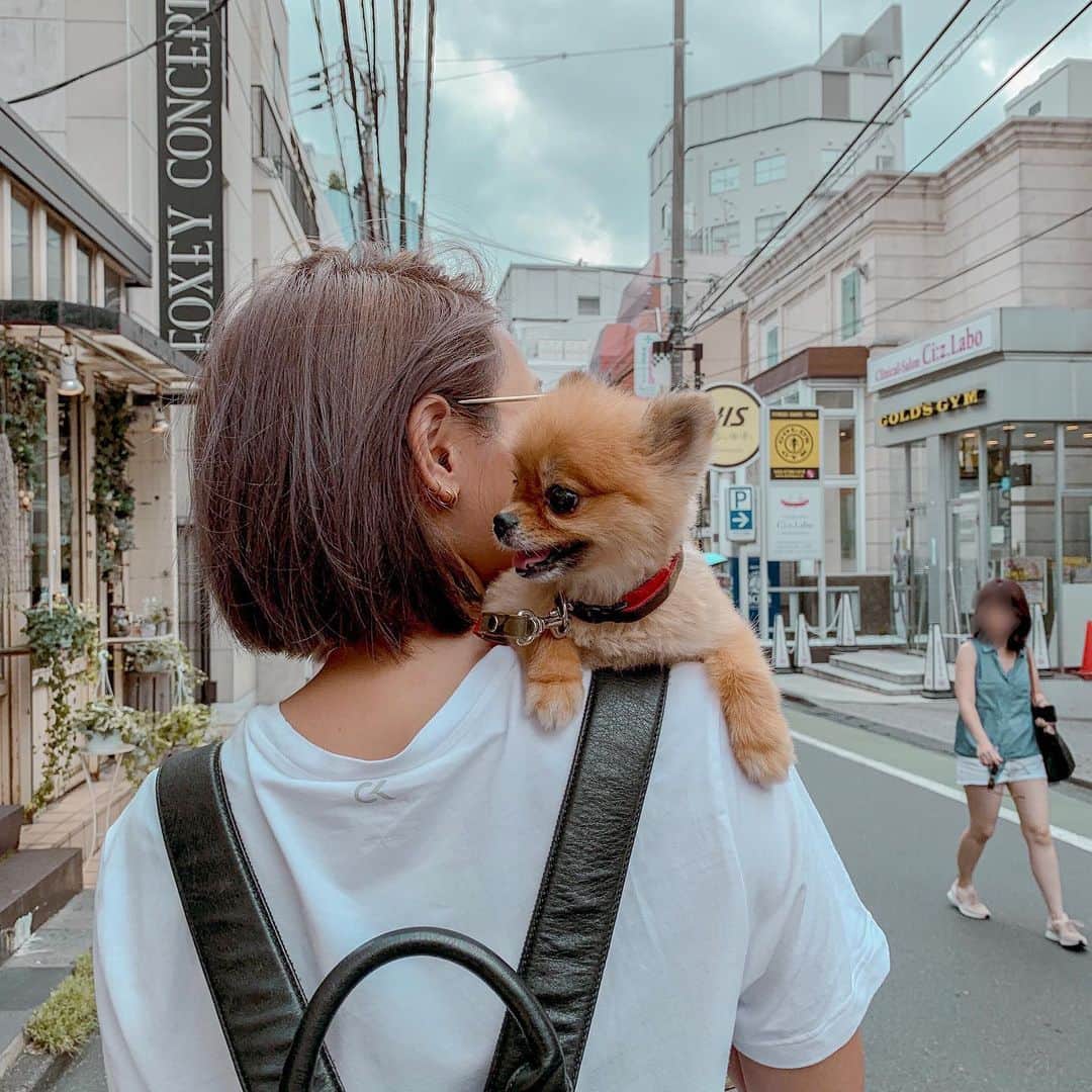 のインスタグラム：「日曜はプールの予定を辞めて、結局 @chaaachan82 と @todays_monjya と表参道〜原宿〜代々木公園で遊び倒し、いなゆを呼び出してダラダラして、ラフォーレ前で謎の恋バナを繰り広げたそんな日曜🥳. . ハッピーサンデー。 #代々木公園#yoyogipark#よよこー#表参道#omotesando#原宿#今日のもんじゃ#イッヌ#ポメラニアンが世界一可愛い#ポメラニアン#ポメ」