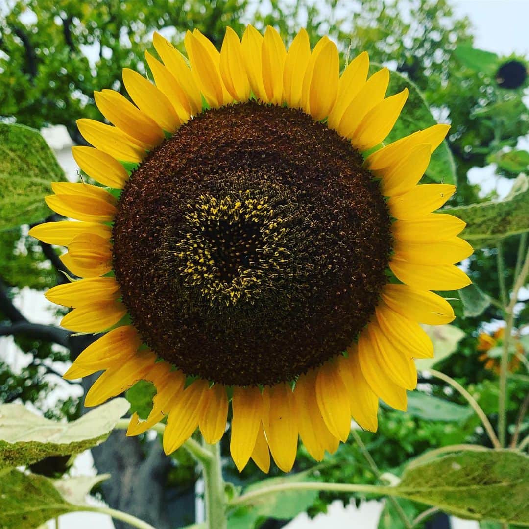 カイヤのインスタグラム