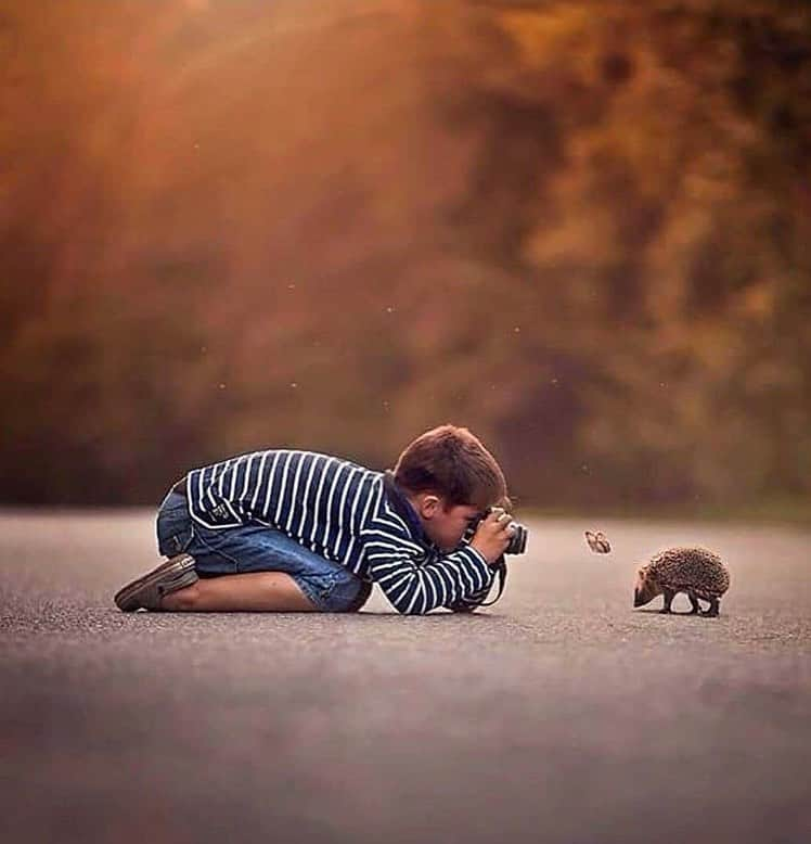 Canon Photographyさんのインスタグラム写真 - (Canon PhotographyInstagram)「We absolutely love this photo! Can you guys remember the moment you feel in love with photography?  Photography | @annakarinpalssonphotography  #canon_photos #photographylovers #sunsetlover #naturelovers #wildlifephotography #beautifulnature」9月2日 9時30分 - cpcollectives