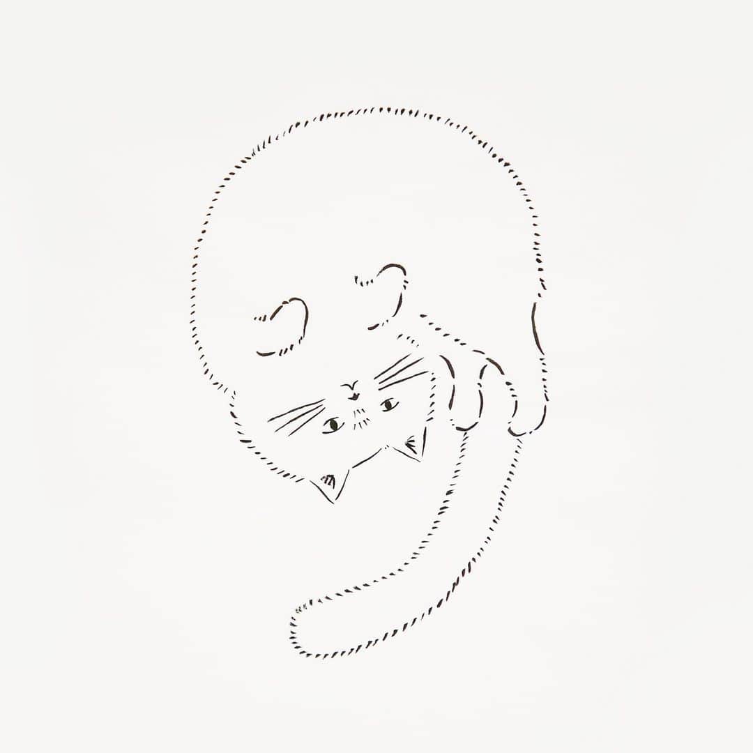 HITOTOKIさんのインスタグラム写真 - (HITOTOKIInstagram)「[ HITOTOKI ART ｜ September ]﻿ 今月のアートは、ごろんと寝転がった “ネコ”です！﻿ まんまるな体と伸びたしっぽが数字の「9」の形になっています。﻿ ちょこんと出している前足もかわいいですね。﻿ ﻿ 月初めには、HITOTOKIのアートディレクターが「ヒトトキアート」として手書きの #イラスト﻿を投稿しています。﻿ ﻿  #hitotoki﻿ #ヒトトキ﻿ #ヒトトキアート﻿ #アート﻿ #イラスト﻿ #9月﻿ #September﻿ #ネコ﻿ #ねこ﻿ #猫﻿ #cat﻿ #ねこすたぐらむ﻿ #ニャンモナイト﻿ #秋﻿ #ヒトトキ文具」9月2日 9時46分 - hitotoki_official