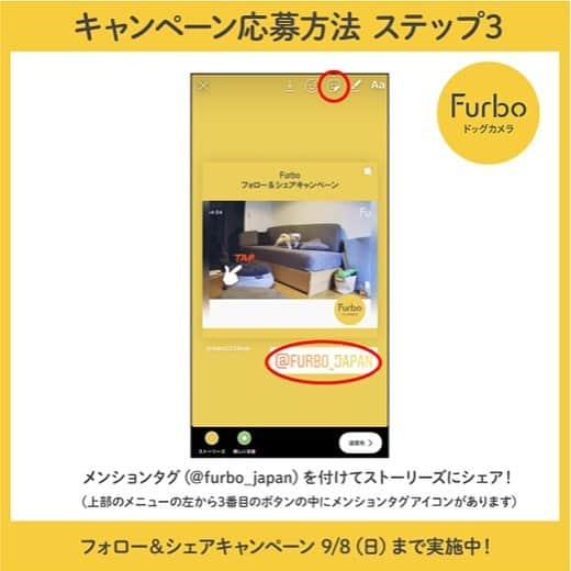 Furbo ドッグカメラさんのインスタグラム写真 - (Furbo ドッグカメラInstagram)「【フォロー＆シェアキャンペーン対象投稿】⁠﻿ ⁠﻿ 「おやつだよ～」⁠﻿ ⁠﻿ @micchelocche⁠﻿ ⁠﻿ ⁠-------------------------⁠﻿ 人気のドックカメラ「Furbo」が当たる！⁠﻿ フォロー＆シェアキャンペーン！⁠﻿ 2019/8/30（金）～2019/9/8（日）⁠﻿ ⁠﻿ 【賞品】⁠﻿ Furboドックカメラ1台　2名様⁠﻿ (1,000シェアを超えたら3名になります！)⁠﻿ ⁠﻿ 【応募方法】⁠﻿ ①Furbo公式アカウント(@furbo_japan)をフォロー⁠﻿ ②プロフィール画面より、「Furboのロゴ」が付いている動画投稿の中からお好きなものを選んであなたのアカウントにストーリーシェアしてください。⁠﻿ （各投稿のヒコーキマークから「ストーリーズに投稿を追加」でお進みください。シェアの際にメンションタグ「@furbo_japan」をつけてください。）⁠﻿ ⁠﻿ ※必ず先にフォローをしてください。⁠﻿ ※公開アカウントでご参加ください。⁠﻿ ※一部のアカウントで「ストーリーズに投稿を追加」が表示されない場合がございます。インスタグラムの仕様による原因のためご了承ください。⁠﻿ ⁠﻿ 【当選発表】⁠﻿ 当選者様のみにDMにて連絡させていただきます。⁠﻿ （2日以上お返事を頂けない場合は当選を無効とさせて頂きます。許可を頂いた方は公式アカウントで公表させて頂きます。）⁠﻿ ⁠﻿ 【ご注意事項】⁠﻿ ＜プレゼントの当選について＞⁠﻿ ■当選した方は、その権利を他人に譲渡したり、金銭や他の品物と引き換えることはできません。⁠﻿ ■抽選結果に関するお問い合わせはお受けできませんので、あらかじめご了承ください。⁠﻿ ■当選した方には、Instagramダイレクトメッセージ（DM）にてご連絡させていただきま⁠﻿ す。なお、以下の場合は、当選を無効とさせていただきますので、あらかじめご了承ください。⁠﻿ （1）@furbo_japan のフォローがされておらず、当社からダイレクトメッセージ（DM）を送信できない場合⁠﻿ （2）アカウントが非公開、または消失されている等の理由により、当社からのご連絡ができない場合⁠﻿ ■賞品の発送は2019年9月中を予定しておりますが、諸事情により多少前後する場合もございますこと、あらかじめご了承ください。⁠﻿ ■当選された方が長期不在等の理由により賞品をお届けできない場合、当該賞品を受け取る権利を無効とさせていただく場合がございます。⁠﻿ ■賞品の配送日時・配送方法・配送業者の指定はお受けできませんので、あらかじめご了承ください。⁠﻿ ＜個人情報取り扱いについて＞⁠﻿ 賞品当選者の個人情報（氏名・住所・連絡先等）は、当社および本キャンペーンの運営の業務委託先となる者が、本キャンペーンに関するお問い合わせ、ご連絡や賞品発送の手続きのために使用いたします。⁠﻿ （本キャンペーンでは、当選者の方のみ個人情報をお預かりいたします）⁠﻿ また、①法令により許容される場合、②上記の使用目的のため、③当社の監督のもと委託先に使用させる場合を除いては、第三者に開示・提供はいたしません。⁠﻿ ⁠﻿ #ファーボは見た #ファーボでお留守番できるもん #わんこのいる生活 #わんこのいる暮らし #愛犬グッズ #ドッグシッター #furbo #ファーボ」9月2日 10時09分 - furbo_japan