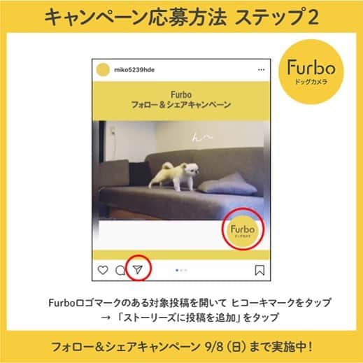 Furbo ドッグカメラさんのインスタグラム写真 - (Furbo ドッグカメラInstagram)「【フォロー＆シェアキャンペーン対象投稿】⁠﻿ ⁠﻿ 「おやつだよ～」⁠﻿ ⁠﻿ @micchelocche⁠﻿ ⁠﻿ ⁠-------------------------⁠﻿ 人気のドックカメラ「Furbo」が当たる！⁠﻿ フォロー＆シェアキャンペーン！⁠﻿ 2019/8/30（金）～2019/9/8（日）⁠﻿ ⁠﻿ 【賞品】⁠﻿ Furboドックカメラ1台　2名様⁠﻿ (1,000シェアを超えたら3名になります！)⁠﻿ ⁠﻿ 【応募方法】⁠﻿ ①Furbo公式アカウント(@furbo_japan)をフォロー⁠﻿ ②プロフィール画面より、「Furboのロゴ」が付いている動画投稿の中からお好きなものを選んであなたのアカウントにストーリーシェアしてください。⁠﻿ （各投稿のヒコーキマークから「ストーリーズに投稿を追加」でお進みください。シェアの際にメンションタグ「@furbo_japan」をつけてください。）⁠﻿ ⁠﻿ ※必ず先にフォローをしてください。⁠﻿ ※公開アカウントでご参加ください。⁠﻿ ※一部のアカウントで「ストーリーズに投稿を追加」が表示されない場合がございます。インスタグラムの仕様による原因のためご了承ください。⁠﻿ ⁠﻿ 【当選発表】⁠﻿ 当選者様のみにDMにて連絡させていただきます。⁠﻿ （2日以上お返事を頂けない場合は当選を無効とさせて頂きます。許可を頂いた方は公式アカウントで公表させて頂きます。）⁠﻿ ⁠﻿ 【ご注意事項】⁠﻿ ＜プレゼントの当選について＞⁠﻿ ■当選した方は、その権利を他人に譲渡したり、金銭や他の品物と引き換えることはできません。⁠﻿ ■抽選結果に関するお問い合わせはお受けできませんので、あらかじめご了承ください。⁠﻿ ■当選した方には、Instagramダイレクトメッセージ（DM）にてご連絡させていただきま⁠﻿ す。なお、以下の場合は、当選を無効とさせていただきますので、あらかじめご了承ください。⁠﻿ （1）@furbo_japan のフォローがされておらず、当社からダイレクトメッセージ（DM）を送信できない場合⁠﻿ （2）アカウントが非公開、または消失されている等の理由により、当社からのご連絡ができない場合⁠﻿ ■賞品の発送は2019年9月中を予定しておりますが、諸事情により多少前後する場合もございますこと、あらかじめご了承ください。⁠﻿ ■当選された方が長期不在等の理由により賞品をお届けできない場合、当該賞品を受け取る権利を無効とさせていただく場合がございます。⁠﻿ ■賞品の配送日時・配送方法・配送業者の指定はお受けできませんので、あらかじめご了承ください。⁠﻿ ＜個人情報取り扱いについて＞⁠﻿ 賞品当選者の個人情報（氏名・住所・連絡先等）は、当社および本キャンペーンの運営の業務委託先となる者が、本キャンペーンに関するお問い合わせ、ご連絡や賞品発送の手続きのために使用いたします。⁠﻿ （本キャンペーンでは、当選者の方のみ個人情報をお預かりいたします）⁠﻿ また、①法令により許容される場合、②上記の使用目的のため、③当社の監督のもと委託先に使用させる場合を除いては、第三者に開示・提供はいたしません。⁠﻿ ⁠﻿ #ファーボは見た #ファーボでお留守番できるもん #わんこのいる生活 #わんこのいる暮らし #愛犬グッズ #ドッグシッター #furbo #ファーボ」9月2日 10時09分 - furbo_japan