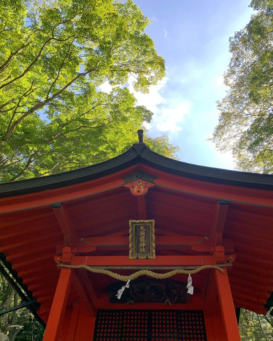 榊いずみさんのインスタグラム写真 - (榊いずみInstagram)「九頭龍神社。 #九頭龍神社本宮 #箱根 #hakone #kuzuryushrine」9月2日 10時17分 - izumizmroom