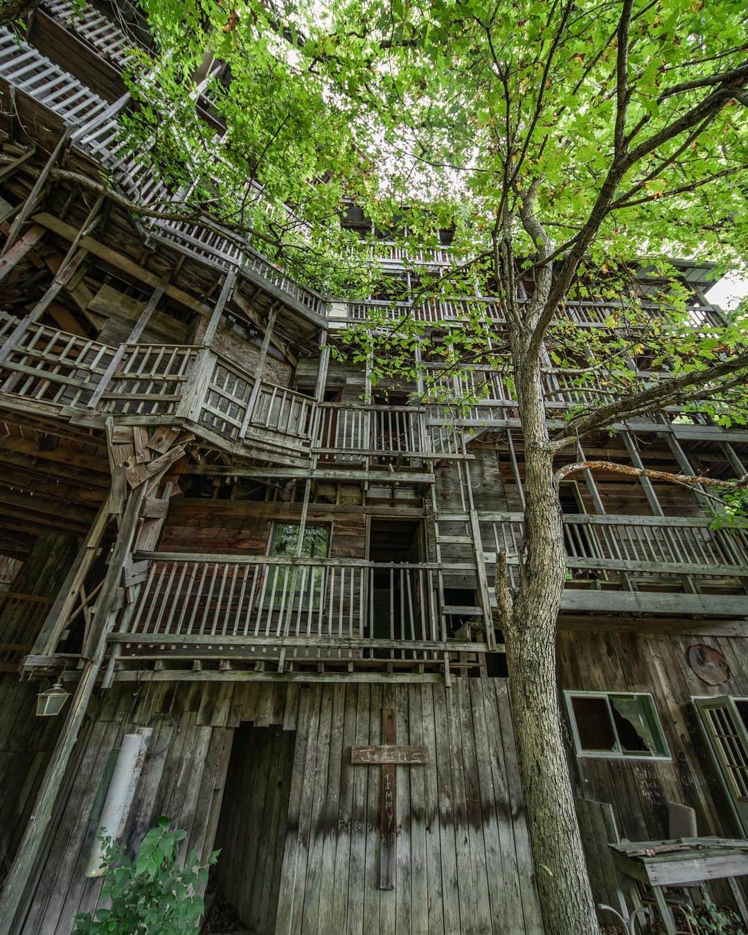 Abandoned Placesさんのインスタグラム写真 - (Abandoned PlacesInstagram)「The worlds largest abandoned tree house 🌳 Photography by @alexplore23」9月2日 1時17分 - itsabandoned