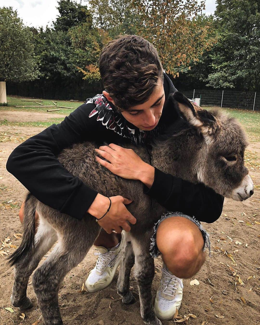 カイ・ハフェルツさんのインスタグラム写真 - (カイ・ハフェルツInstagram)「#donkey day!」9月2日 1時48分 - kaihavertz29