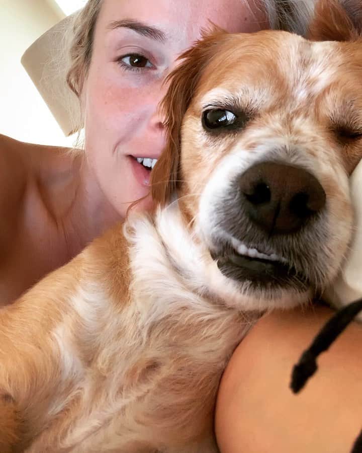 Nika Kljunのインスタグラム：「👑🐾 . 9:48am and he’s still in bed acting like he’s hungover lol . #thatslife #nostress #noworries #dogslife🐶 #whatwouldwedowithoutthem #unconditionallove #animallover」