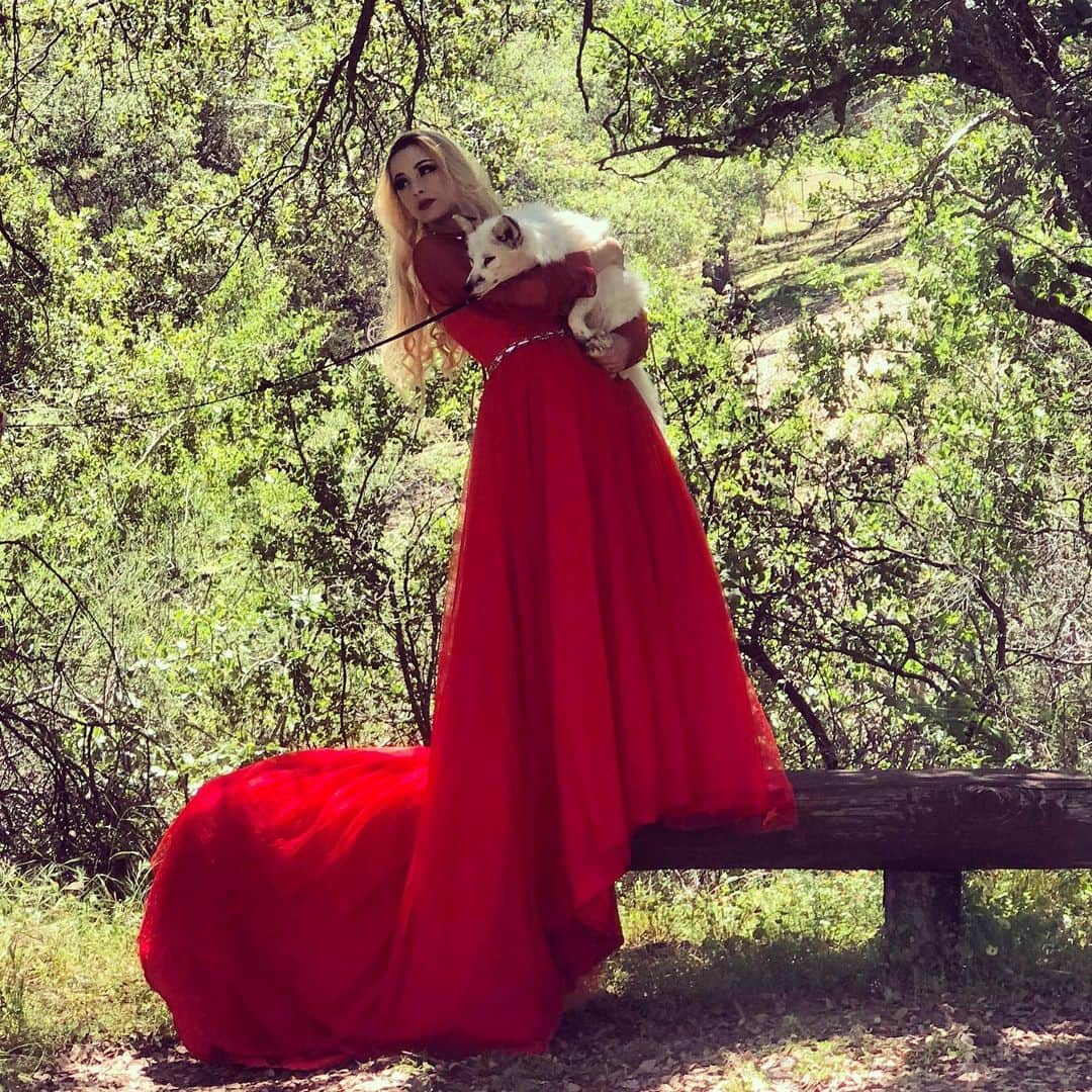 Rylaiさんのインスタグラム写真 - (RylaiInstagram)「The Lady in red..... This was such a dramatic photoshoot with @sativa_grace - this was a BTS photo and it is absolutely gorgeous!! . This will be the location for the Microphotoshoots with the foxes at the Grand Opening Open House. @anabeldflux will be the exclusive photographer for the fox Ambassadors and @cyrenarose is the exclusive photographer for the wolf Ambassadors.  The Photoshoots have limited availability on Sat and Sunday and are booking up. Included is one edited photo- additional photos can be purchased from the photographer. . VIP access for the Gala on October 6th, will also include a photo with a fox or wolf Ambassador, as well as Lake view seating, extra meet and greet time with the Ambassadors, and an awesome swag box created by @parcelsandbliss . VIP access is also limited.... we can’t wait to see all of our friends and family at our grand opening..... and to celebrate this day with those that have supported us!! . Of course you all are going to be blown away by the amazing Canid murals by artist @maxwellcam - so much super fun!! . .Sponsorship opportunities close this Wednesday if you want to be included on our event merch/media . Donations for silent auction are due Sept 15th!!!! . . Tickets are on sale with early access pricing at www.jabcecc.org . . #fromrussiawithlove #ladyinred #jabcecc #lovefoxes #wolves #fundraiser #event #sandiegoevent #sandiego #love #socal #california #animalencounters #conservation #supportlocal #sponsor #fox #foxesofig #photoshoot #bts #gorgeous #photoswithfox」9月2日 2時11分 - jabcecc