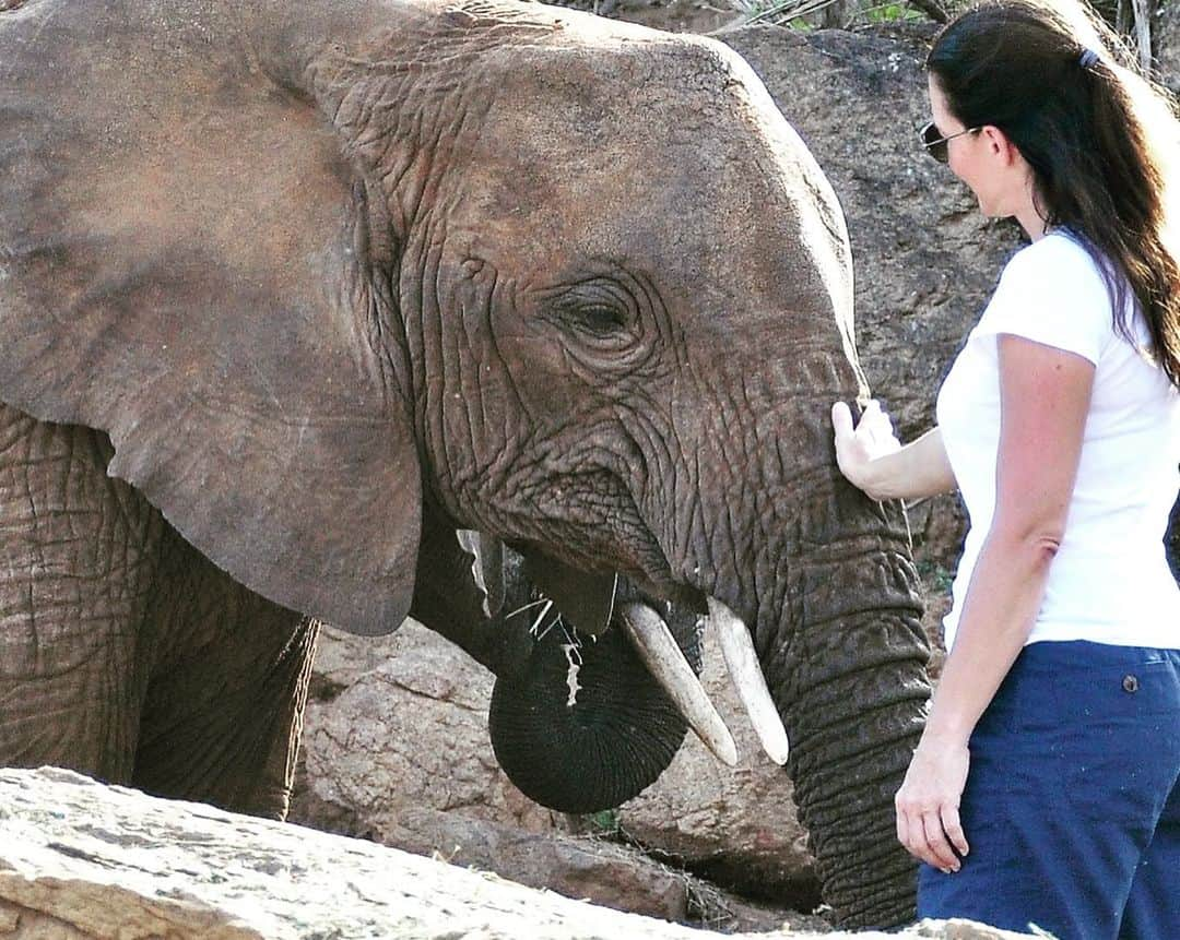 クリスティン・デイヴィスさんのインスタグラム写真 - (クリスティン・デイヴィスInstagram)「Big news in a perfect package!  Sunday 1st September began with the most beautiful surprise in Tsavo, when wild-living orphan Loijuk returned to our Ithumba stockades in the early hours to share with us her pride and joy - a newborn female calf whom we have named Lili.  I’m so excited for the newest wild born baby at @sheldricktrust . The second pic is Loijuk and I in 2014. To see her so big now and with her own little baby makes my heart leap with joy. The satisfaction of having elephants who were orphaned as little babies,then successfully have their own babies in the wild, Raising them with lots of help from their friends they grew up with at Sheldrick. It’s just so immensely gratifying !」9月2日 2時51分 - iamkristindavis