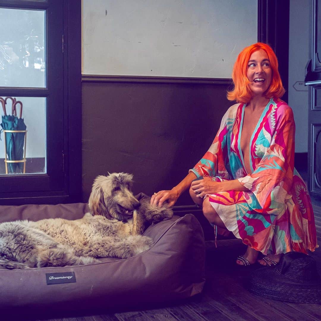 のインスタグラム：「Sad to leave the resident pooch ‘B’ #afghanhound  what an absolute babe 💅🏻💅🏻💅🏻 (wearing @emiliopucci )」