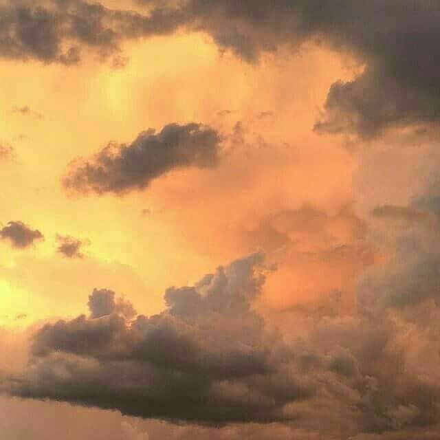 ヴァレリー・カウフマンさんのインスタグラム写真 - (ヴァレリー・カウフマンInstagram)「New month, new beginnings 🧡 #Mood #September」9月2日 3時17分 - valerykaufman