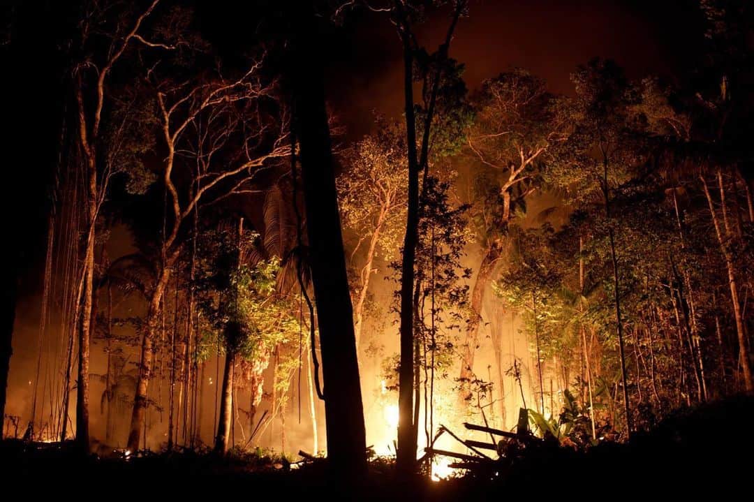 NBC Newsさんのインスタグラム写真 - (NBC NewsInstagram)「A fire burns a tract of #Amazon jungle as it is cleared by loggers and farmers near Porto Velho, #Brazil, on Saturday. . 📷 Ricardo Moraes / @reuters」9月2日 4時20分 - nbcnews
