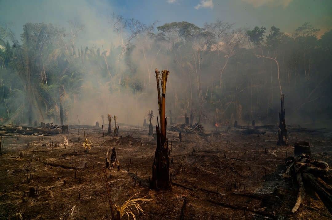 TIME Magazineさんのインスタグラム写真 - (TIME MagazineInstagram)「Smoke rises amid destroyed trees near Realidade, #Brazil, on Aug. 26. August was burning season in the #Amazon rain forest, where ranchers use the dry weather to prepare land for crops and pasture. Preliminary statistics indicate #deforestation in the Amazon has risen by 70 percent this year. See more pictures at the link in bio. Photograph by @sebastianliste—@noorimages for TIME」9月2日 5時43分 - time