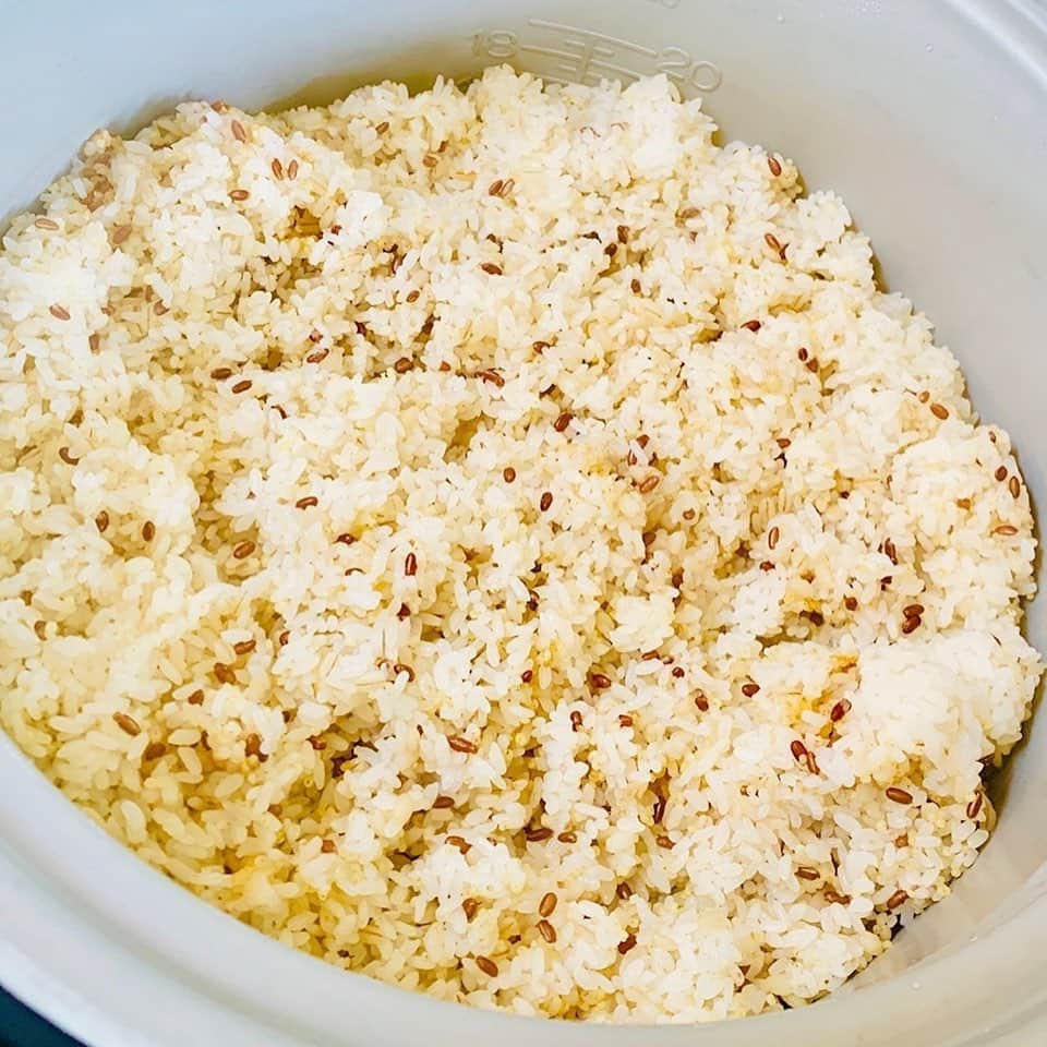 道の駅やちよのグルメインスタ