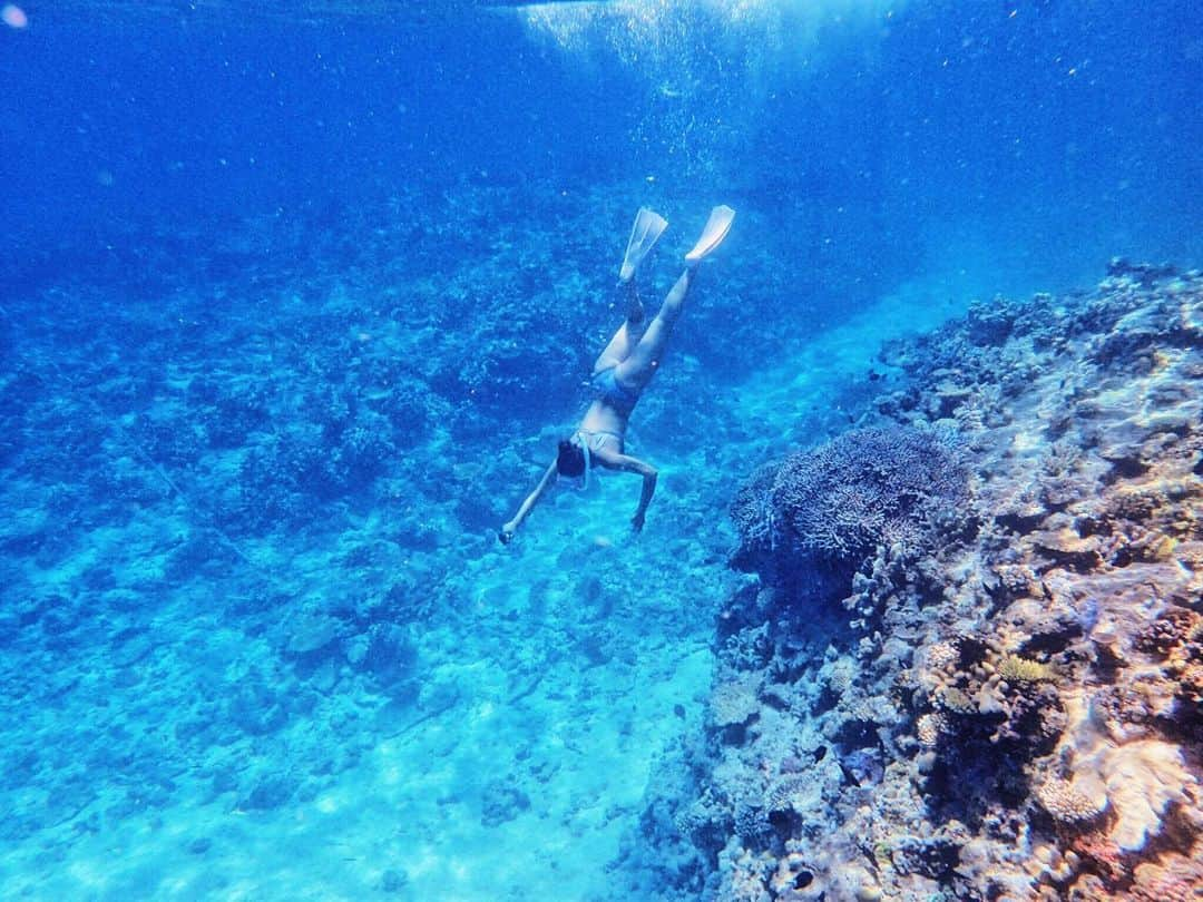 野呂玲花さんのインスタグラム写真 - (野呂玲花Instagram)「沖縄に行きたい🦋 #goprojp @goprojp」9月2日 6時40分 - reikanoro