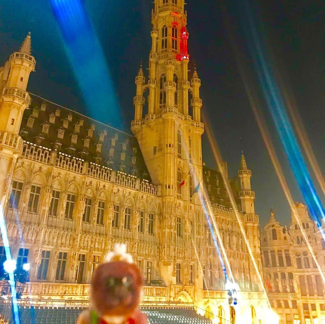 ころさんのインスタグラム写真 - (ころInstagram)「ころツーリスト in #ベルギー (#ブリュッセル ) .  奇跡的に滞在期間中が年に2日日間しか開催されないベルギー最大のイベント「オメガンク」の日でした😊✨✨ . 何も知らずに夜のブリュッセルの街を見てみようと散策していたら偶然遭遇😆💦💦 . オメガンクとは ベルギーを代表する祭り。「 オメガング」とは「輪になって歩く」の意味で、14世紀にサブロン教会に祀られたマリア像の周囲を行列したことが起源とされています。 ．  ころの他の写真を見たい方はこちらから！  @koro.dottokoi .  #ころツーリスト #旅 #旅日記 #旅スタグラム #旅すたぐらむ #トラベラー #旅に出たい #旅の記録 #旅好き #旅写真 #旅行好き #旅したくなるフォト #旅フォト #マイトリ #旅行大好き #わんこ #ぬいぐるみ #ぬいどり #ぬい撮り写真部 #マイトリップ #旅の思い出 #旅の思い出 #ぬい撮り #ぬい撮りさんと繋がりたい #ぬいすたぐらむ」9月2日 6時49分 - koro.dottokoi