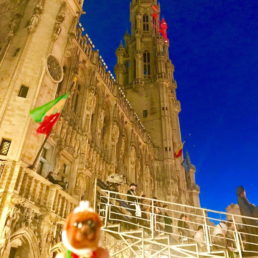 ころさんのインスタグラム写真 - (ころInstagram)「ころツーリスト in #ベルギー (#ブリュッセル ) .  奇跡的に滞在期間中が年に2日日間しか開催されないベルギー最大のイベント「オメガンク」の日でした😊✨✨ . 何も知らずに夜のブリュッセルの街を見てみようと散策していたら偶然遭遇😆💦💦 . オメガンクとは ベルギーを代表する祭り。「 オメガング」とは「輪になって歩く」の意味で、14世紀にサブロン教会に祀られたマリア像の周囲を行列したことが起源とされています。 ．  ころの他の写真を見たい方はこちらから！  @koro.dottokoi .  #ころツーリスト #旅 #旅日記 #旅スタグラム #旅すたぐらむ #トラベラー #旅に出たい #旅の記録 #旅好き #旅写真 #旅行好き #旅したくなるフォト #旅フォト #マイトリ #旅行大好き #わんこ #ぬいぐるみ #ぬいどり #ぬい撮り写真部 #マイトリップ #旅の思い出 #旅の思い出 #ぬい撮り #ぬい撮りさんと繋がりたい #ぬいすたぐらむ」9月2日 6時49分 - koro.dottokoi