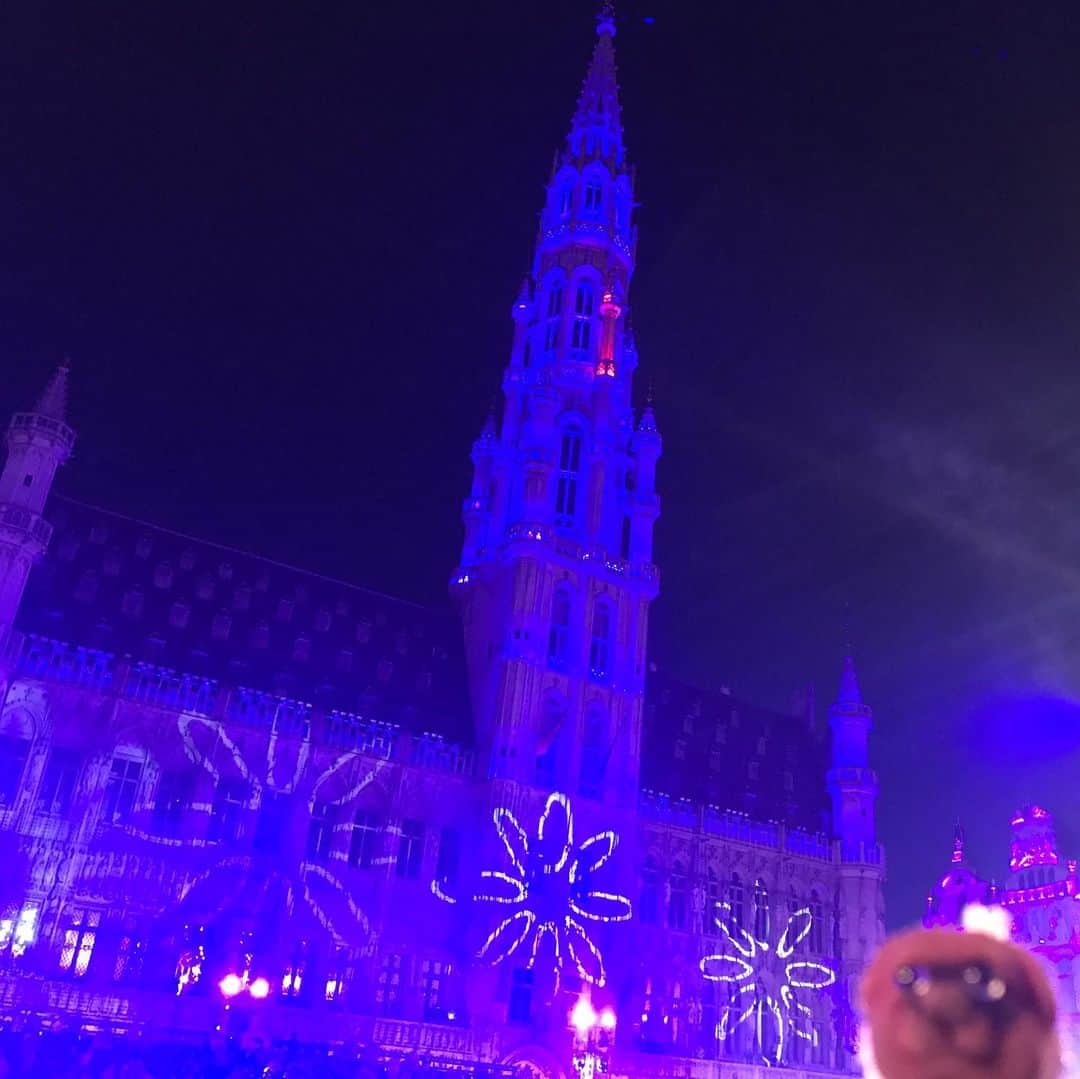 ころのインスタグラム：「ころツーリスト in #ベルギー (#ブリュッセル ) .  奇跡的に滞在期間中が年に2日日間しか開催されないベルギー最大のイベント「オメガンク」の日でした😊✨✨ . 何も知らずに夜のブリュッセルの街を見てみようと散策していたら偶然遭遇😆💦💦 . オメガンクとは ベルギーを代表する祭り。「 オメガング」とは「輪になって歩く」の意味で、14世紀にサブロン教会に祀られたマリア像の周囲を行列したことが起源とされています。 ．  ころの他の写真を見たい方はこちらから！  @koro.dottokoi .  #ころツーリスト #旅 #旅日記 #旅スタグラム #旅すたぐらむ #トラベラー #旅に出たい #旅の記録 #旅好き #旅写真 #旅行好き #旅したくなるフォト #旅フォト #マイトリ #旅行大好き #わんこ #ぬいぐるみ #ぬいどり #ぬい撮り写真部 #マイトリップ #旅の思い出 #旅の思い出 #ぬい撮り #ぬい撮りさんと繋がりたい #ぬいすたぐらむ」