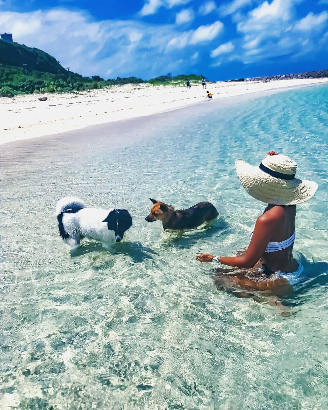 大下瞳美さんのインスタグラム写真 - (大下瞳美Instagram)「豚の島🐖ならぬ犬の島🐕  ここは天国かっ！  次回ヨガリトリートのお知らせ  9月27.28.29日宮古島ヨガリトリート  9月30日プロフリーダイバーでもある篠宮龍三さんといくスキンダイビングツアー 夜は篠宮さんと懇親会！！ . . 9月27日〜10月1日4泊5日コースもあります。 2泊3日・4泊5日・スキンダイビングツアーのみのいづれかをお選び下さい。  開催場所:全て宮古島  リトリートお問い合わせ先 ☎︎080-2885-9015 📩hitomistyleyoga@gmail.com  STUDIO surYOGA広島並木通り店 広島市中区中町2-2末広ビル2階 ☎︎080-2885-9015 📩suryogahiroshima@gmail.com  #神の島#宮古島#石垣島#八重山諸島#八重干瀬 #天国の海 #島#🐖#🐕#👙 #島暮らし#海#沖縄#ヨガリトリート#宮古島ヨガリトリート#宮古島サップヨガリトリート#海のある暮らし#日焼け女子 #ラテ肌 #skindiving #summertime #dogstagram #seagull #bikinigirls #roxygirl #roxyjapan#okinawaphotclub」9月2日 6時40分 - hitomiooshita