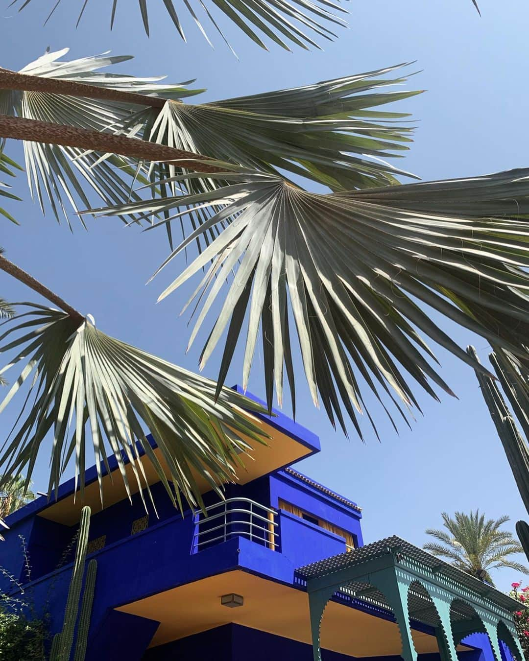 Garotas Estupidasさんのインスタグラム写真 - (Garotas EstupidasInstagram)「#majorelle morning 🇲🇦 Sempre quis conhecer o jardim de Majorelle, o refúgio de Yves Saint Laurent e do marido Pierre Bergé em Marrakech! Menor do que imaginei (mas bem lindo!), tem plantas dos 5 continentes e paredes pintadas no azul mais maravilhoso que já vi! Tudo bem fotogênico e belíssimo, então cheguem cedo se quiserem fazer fotos pq é batalha de look do dia kkkk #CCOmarrocos #CCOdestinos / ph: @bravin」9月2日 6時41分 - camilacoutinho