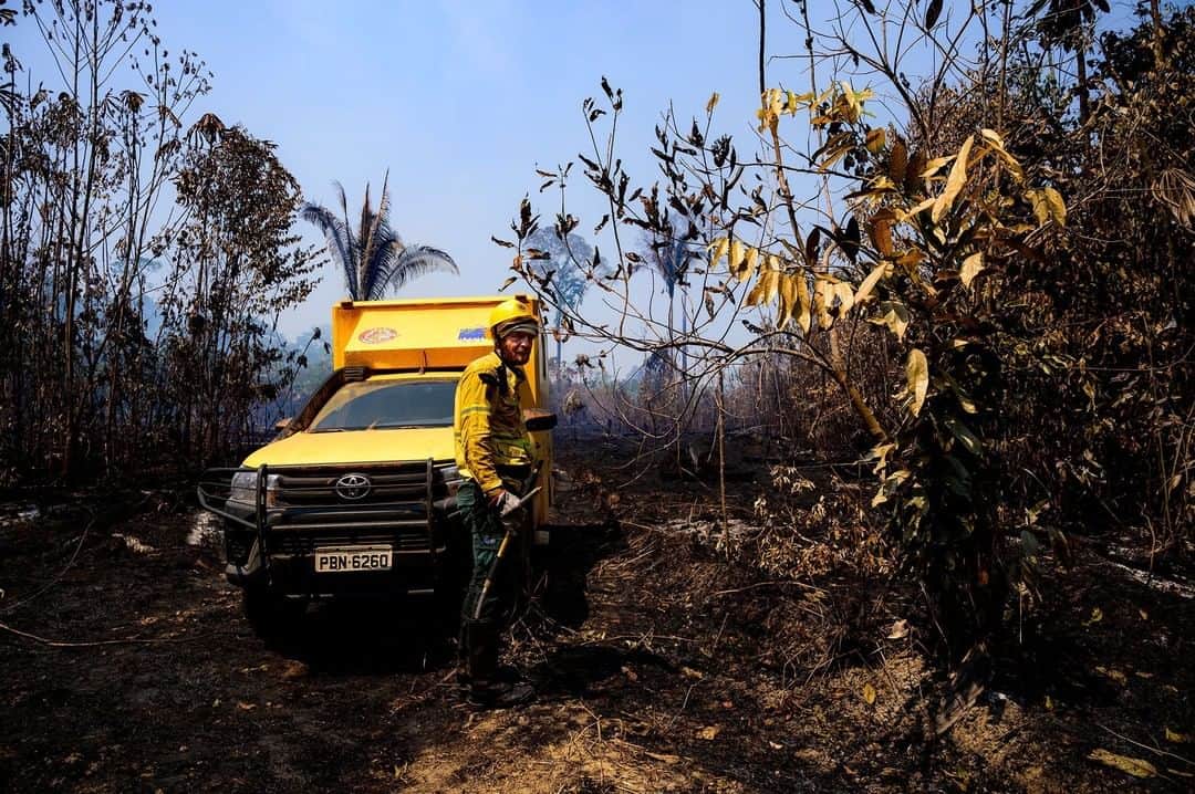 TIME Magazineさんのインスタグラム写真 - (TIME MagazineInstagram)「A worker from #Brazil's environmental agency, IBAMA, in a recently burned section of #Amazon rain forest in the Vila Nova Samuel region on Aug. 28. Jair #Bolsonaro, Brazil’s far-right president and a longtime defender of loggers and ranchers, ordered the army to the state after an international outcry over the forest fires. See more pictures at the link in bio. Photograph by @sebastianliste—@noorimages for TIME」9月2日 7時00分 - time