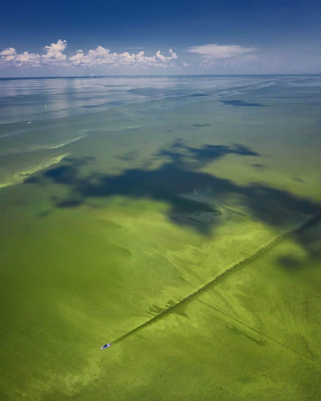 ナショナルジオグラフィックさんのインスタグラム写真 - (ナショナルジオグラフィックInstagram)「Photo by Keith Ladzinski @ladzinski | An aerial perspective of our boat cutting a line through an algae bloom of seemingly endless green. What you’re seeing here is a decades-old problem; the leading contributor of these blooms is excess phosphorus and nitrates from fertilizer used in large-scale agriculture that’s washed into streams as well as distributed via wind during the winter months. Through these tributary waterways, the chemicals eventually make their way into lakes. Pollutants from industrial and pharmaceutical factories are also a link; these chemicals and substances aren’t water soluble and over decades turn into what you’re seeing here. High temperatures and still air create the perfect conditions for algae to proliferate and accumulate at the surface. When temperatures increase, these blooms break out, which is unfortunately only increasing with the rise in temperatures directly correlated with climate change. It’s a serious problem, and one that is happening globally. To see more photos of this issue, please visit @ladzinski」9月2日 7時35分 - natgeo