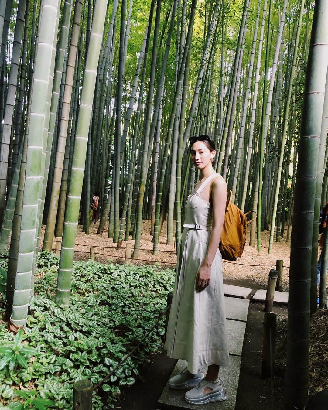 細谷理紗さんのインスタグラム写真 - (細谷理紗Instagram)「夏最後の思い出に鎌倉にある報国寺へ行ってきました🎐🍃 近くにこんな所があったなんて、、、 たくさん癒されました🕺🏻✨🍉🌻 #鎌倉 #報国寺の竹林」9月2日 19時41分 - risahosoya