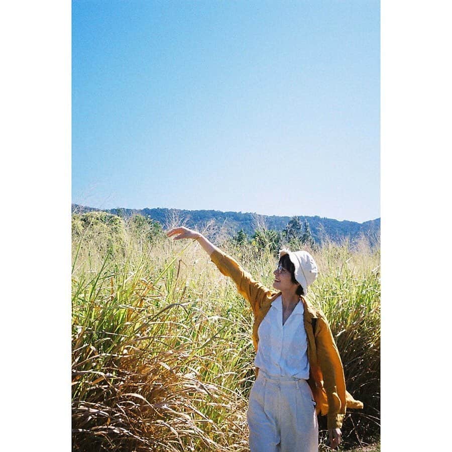 のインスタグラム：「夏の思い出。 モエチョロこと  @mnpgf が撮ってくれた📸  #オーストラリアに消えゆくサンゴ礁や恐竜時代から残るジャングルを一緒に見に行ったんだ #ハーフカメラの味好きだなー #オートのフィルムカメラおススメありますか？」