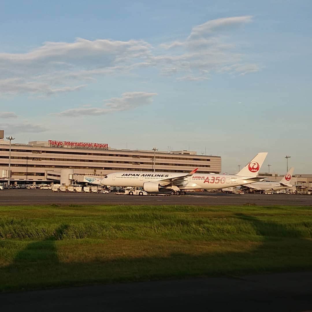 夢城えれんのインスタグラム：「早く乗ってみたいな🛩️✨ 飛行機すき❤️ . . #jal#japanairlines#airbus#A350 #羽田空港#tokyo #なかなか長旅でした😁 #ただいま東京」