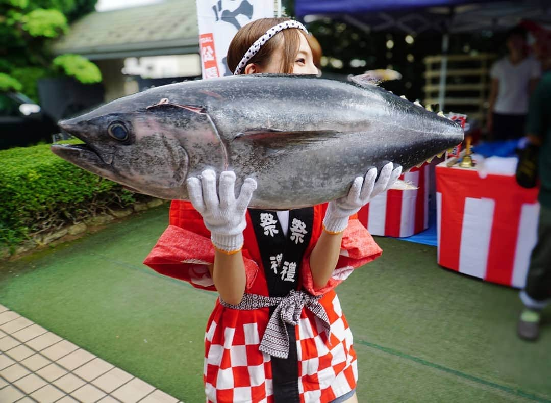 希崎ジェシカさんのインスタグラム写真 - (希崎ジェシカInstagram)「マグロWithジェシー🐟. . 最高に楽しかったし. 美味しかった😋🍴. . こんな大きなマグロ持ったの初めて🔰 . . 会いに来てくれた皆様 協賛して下さった皆様 本当に本当に ありがとうございました🍀. . . #ジェ神祭 #11周年 #マグロ解体ショー #夏の思い出 #ビビり顔がひどい #マグロ20キロ #希崎さん引退後は解体ショーに弟子入りか？ #ジェシざんまい #法被 #tuna #followme #Japanesegirl」9月2日 18時26分 - kizaki_jessica