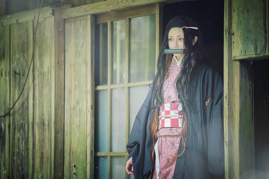 赤羽律のインスタグラム：「「 …… 」 ・ 竈門禰豆子 @akabaritsu ・  P @kyan0702 ・ #鬼滅の刃  #鬼滅の刃コスプレ  #コスプレ  #コスプレイヤー #cosplay  #cosplayer  #nezuko  #kamadonezuko  #禰豆子  #竈門禰豆子  #kimetsunoyaiba  #akabaritsu  #きもの #kimono #oni #鬼滅の刃 #demonslayer #demonslayercosplay #getinstalike #竈門炭治郎 #akabaritsu」