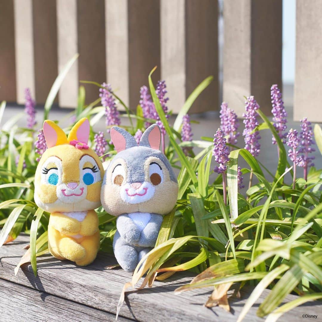 ちょっこりさん【公式】のインスタグラム：「#20190902 * お花の横でちょっこりおすまし♪ * #ちょっこりさん #ディズニー#ディズニーグッズ #ぬい撮り#ぬいぐるみ #chokkorisan#disney #takaratomyarts #ぬいぐるみと撮り隊 #disney写真部 #ディズニーグッズ #ちょっこりさん好きな人とつながりたい」