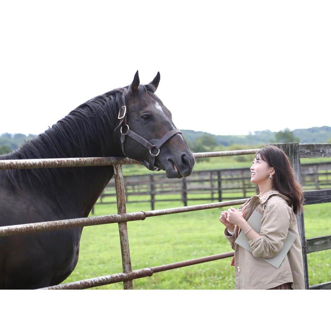 津田麻莉奈さんのインスタグラム写真 - (津田麻莉奈Instagram)「毎年恒例のイーストスタッドへ伺い、 わたしが競馬をはじめるきっかけになった馬、愛するトゥザグローリーに会わせていただきました。 実はもう2週間も前なのですが…自分の中で記憶を反芻していたというか、出し渋っていたお気に入りの写真を。 セリで子供達見てきたよーとか、最近どう？って話をしているところ☺️ ⁑ ⁑ #ツイッターの #新しいプロフィール画像  #トゥザグローリー #トゥザヴィクトリー一族  #イーストスタッド  #浦河 #浦河町 #種馬 #種牡馬 #津田グローリー #まりなる #津田麻莉奈」9月2日 10時51分 - tsudamarinal