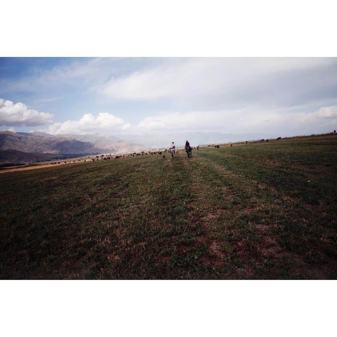 阿部裕介さんのインスタグラム写真 - (阿部裕介Instagram)「Meet the nomads.  About 100 cows were grazed.  A man on a horse and a dog gathered cows.  He showed me a traditional horse riding wrestling.  Kyrgyzstan, Issyk-Kul 2019  #Kyrgyzstan #キルギス」9月2日 12時10分 - abe_yusuke