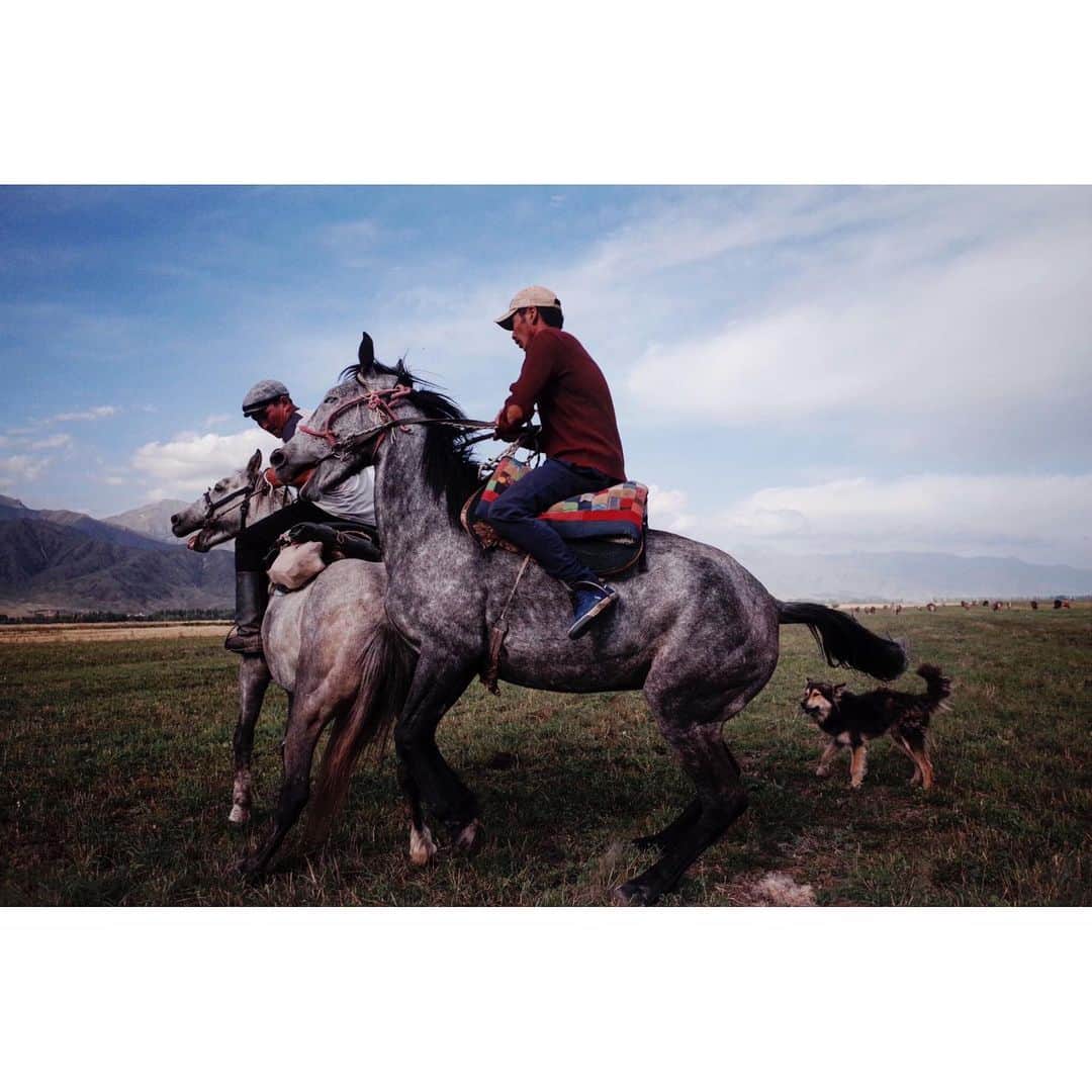 阿部裕介さんのインスタグラム写真 - (阿部裕介Instagram)「Meet the nomads.  About 100 cows were grazed.  A man on a horse and a dog gathered cows.  He showed me a traditional horse riding wrestling.  Kyrgyzstan, Issyk-Kul 2019  #Kyrgyzstan #キルギス」9月2日 12時10分 - abe_yusuke