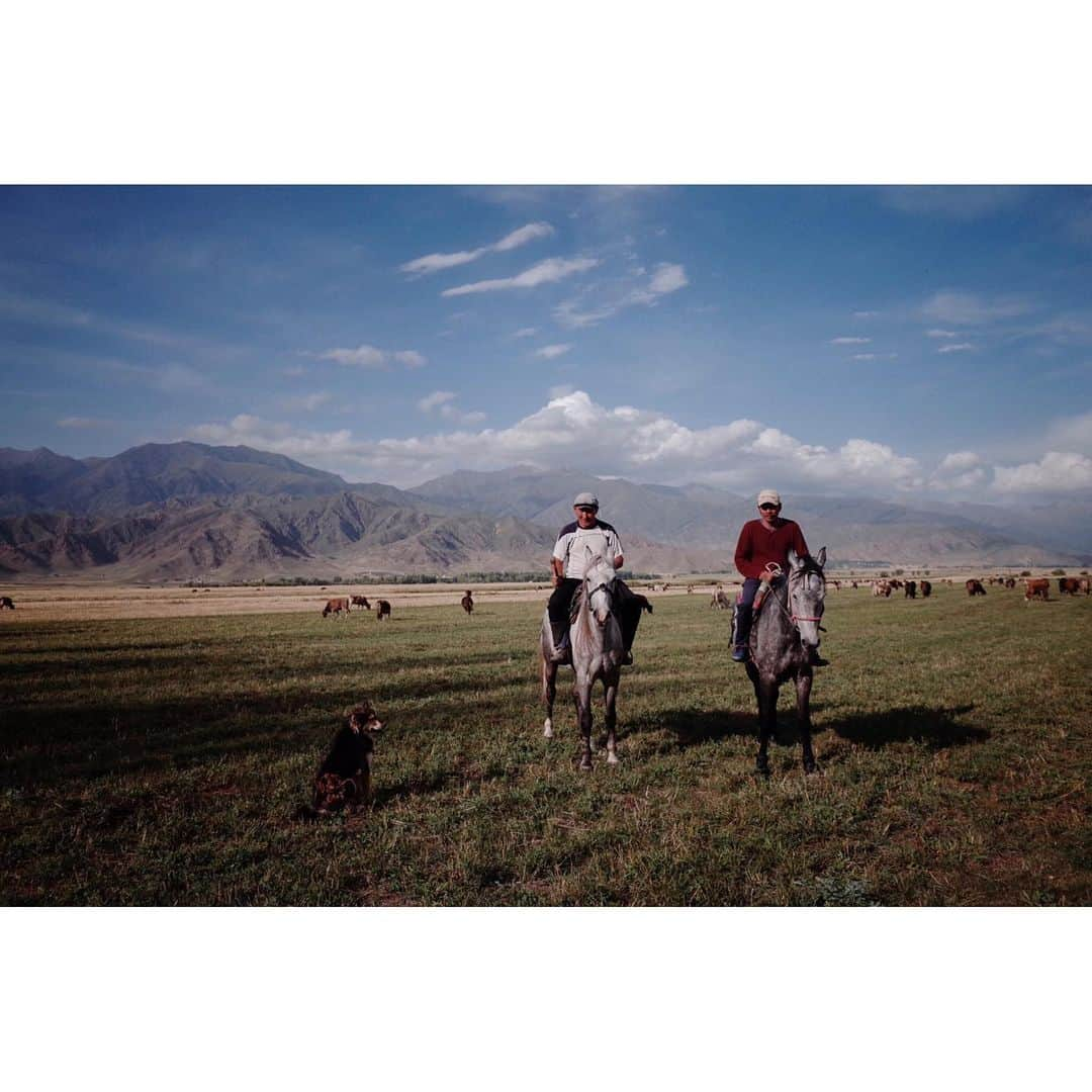 阿部裕介さんのインスタグラム写真 - (阿部裕介Instagram)「Meet the nomads.  About 100 cows were grazed.  A man on a horse and a dog gathered cows.  He showed me a traditional horse riding wrestling.  Kyrgyzstan, Issyk-Kul 2019  #Kyrgyzstan #キルギス」9月2日 12時10分 - abe_yusuke