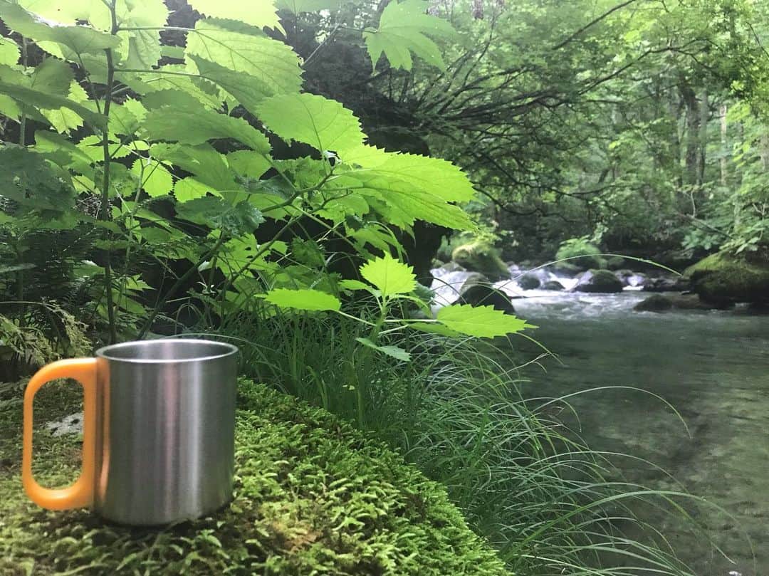 岩崎裕美のグルメインスタ