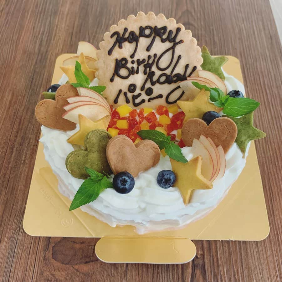 宮前真樹さんのインスタグラム写真 - (宮前真樹Instagram)「#お誕生日ケーキ 仲良しのワイマさん10歳のお誕生日に 犬用手作りケーキをプレゼントしました♡. . 5号サイズのお食事ケーキ 下段-鶏むね肉ミートローフ 真ん中-お芋ココナッツ 上段-サーモンのムース 水切りヨーグルトのクリーム ちょっと焼き縮みした所はクリームで補正。  飾りクッキーは米粉 メッセージクッキーは小麦粉と米粉 文字描きはキャロブパウダー。 #犬ケーキ #お誕生日犬ケーキ  #手作り犬ケーキ #お食事ケーキ #手作り犬ごはん  #ワイマラナー #ワイマラナーロングヘアード  #大型犬のいる暮らし  #人も食べられる食材 #人も犬も一緒にね ❺お味チェック担当のエルマーさん🐕」9月2日 13時02分 - miyamaemaki0116