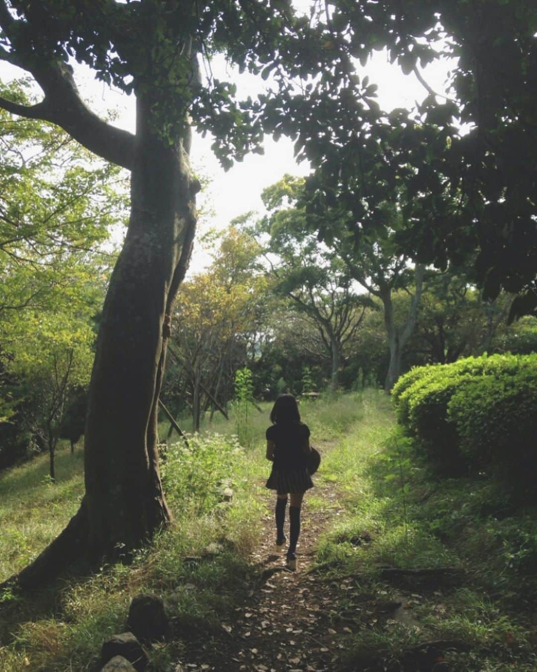 島崎友莉亜さんのインスタグラム写真 - (島崎友莉亜Instagram)「むかしの写真をみつけた！ 実はゆり、森からやって来ました🐾  #ユリボックル #むかしのあだ名 #中1くらい #森 #ころころぷりぷり」9月2日 13時13分 - yuria_shimazaki_uug2ki