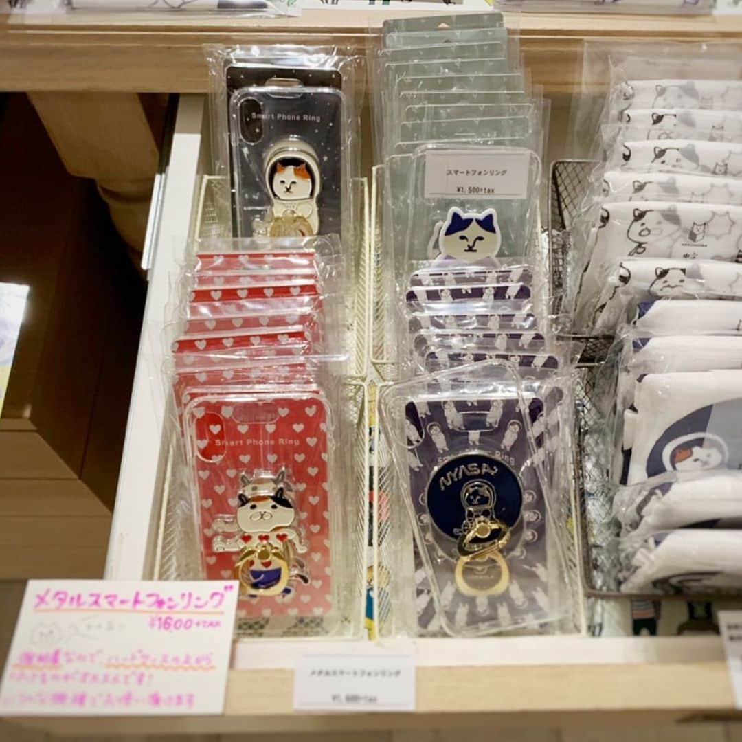 ねこのインスタグラム