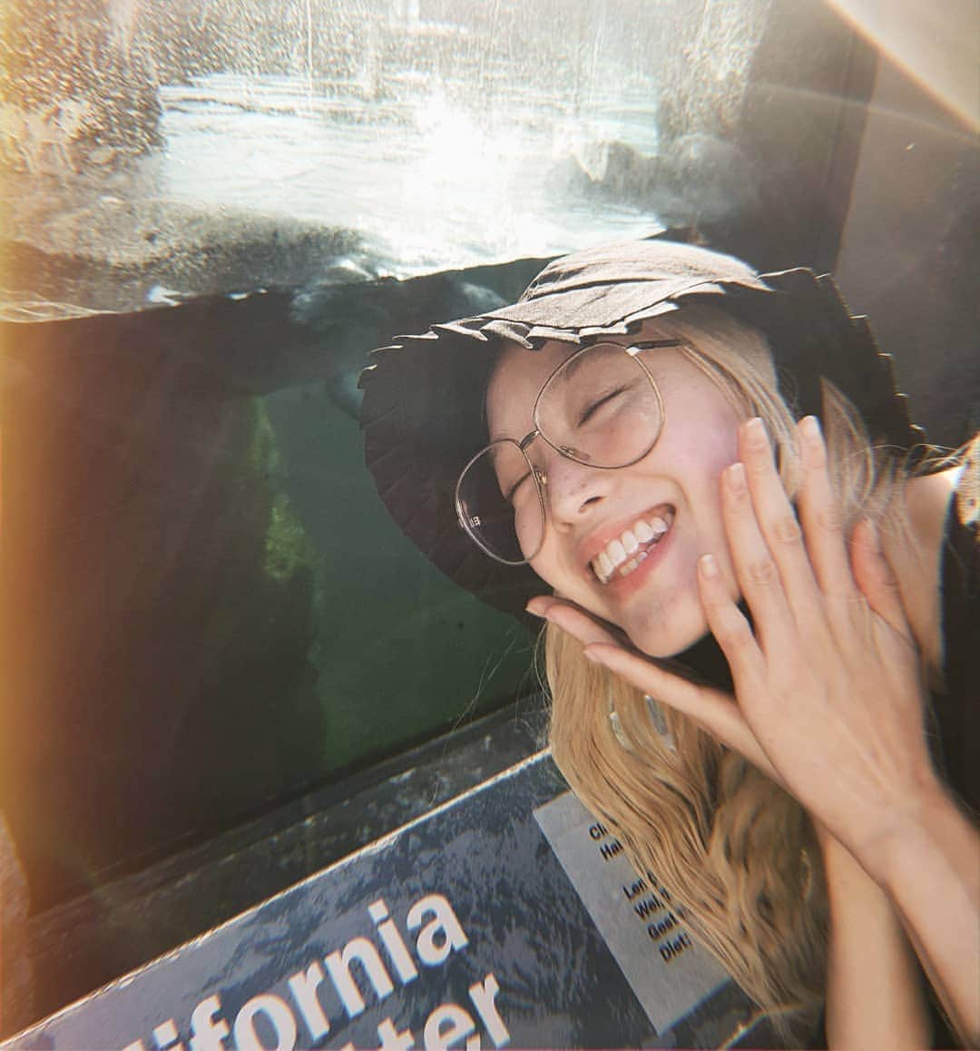 フェルナンダ・リーのインスタグラム：「Otters!!!!!!!!!! 🥺 They're not endemic to Australia so I have never seen any in real life until today 😭😭😭😭 I feel so blessed, you will not regret swiping through 〰️〰️〰️〰️〰️ ラッコ❣😢😢😢 初めてラッコをリアルで見ました❣❣ 可愛すぎて本当に泣きたかった😭😭😭😭 (オーストラリアにラッコは固有種じゃないですから全然見てできません)  #otter #ラッコ」
