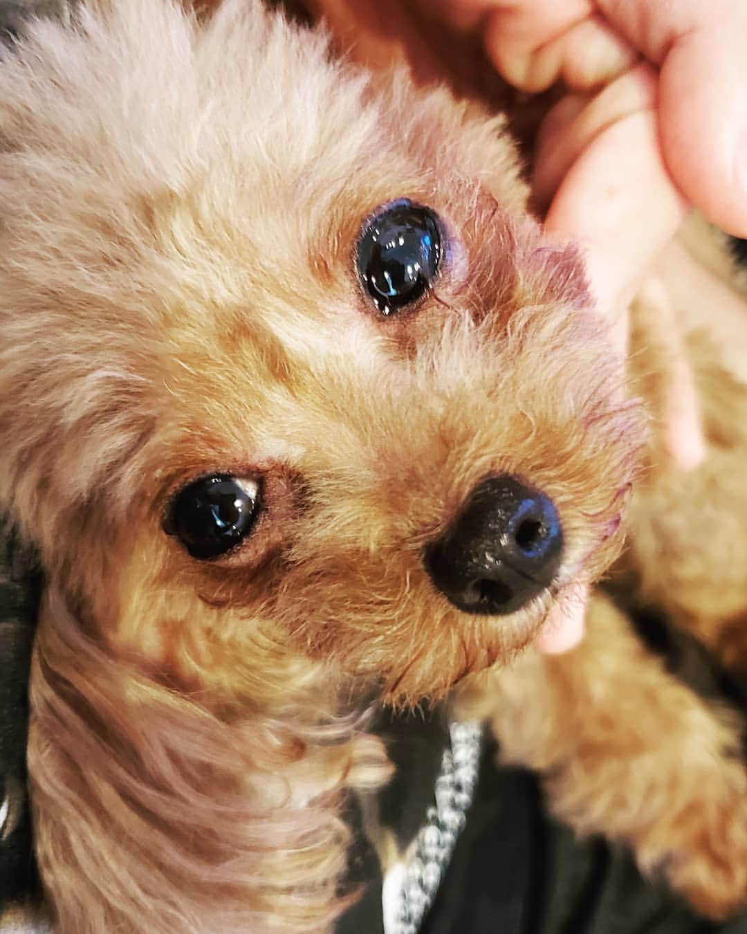 清水翔太さんのインスタグラム写真 清水翔太instagram 行ってくるね Shota Shimizu