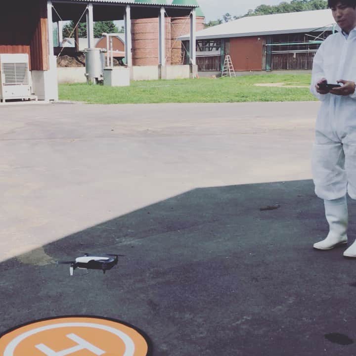 CLEAR de SIGNのグルメインスタ