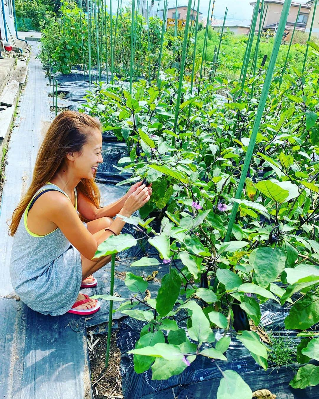 あびる優さんのインスタグラム写真 - (あびる優Instagram)「🍆🥕🌻🏔🌿🍅 #畑#田舎#自然#ほのぼの#ほっこり#まったり#草むしり#畑作業」9月2日 14時30分 - yuabiru74